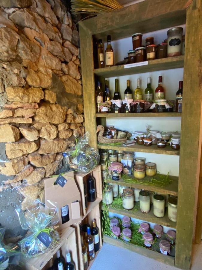 Le Bonheur Dans Notre Pre Villa Sainte-Mondane Eksteriør bilde
